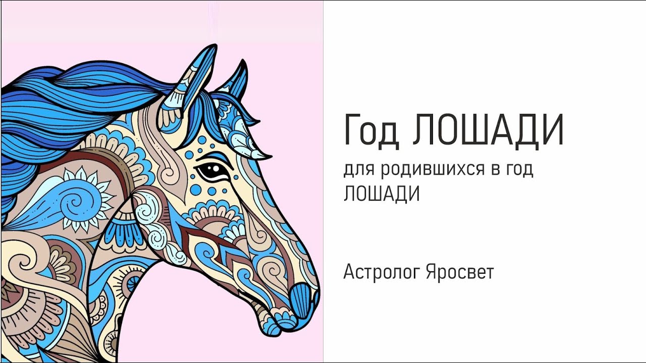 2015 год лошадь. Лошадь знак зодиака. Года лошади на человека. Обои на телефон для рожденных в год лошади. Картина для рожденных в год Земляной лошади.