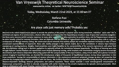 Are place cells just memory cells? Probably yes | Stefano Fusi, Columbia University