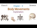 ncert class 6 science chapter 5 body movements |class 6 science chapter 5 explanation in hindi
