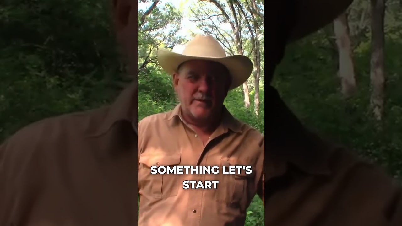 This Bigfoot Sighting Was Completely Fake 