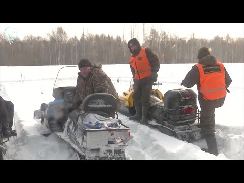 В Новосибирской области идёт учёт диких животных. Какова статистика?