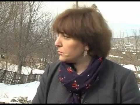 თინათინ ხიდაშელის კომენტარი.