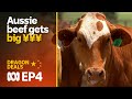 China beef: getting Australian red meat on Chinese plates | Dragon Deals Ep4 | ABC Australia