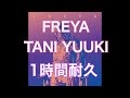 FREYA - Tani Yuuki  1時間耐久