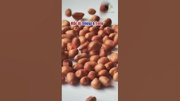 ĂN LẠC VỪNG THƯỜNG XUYÊN CÓ GIẢM MỠ MÁU ĐƯỢC KHÔNG? |Dr Hiệp