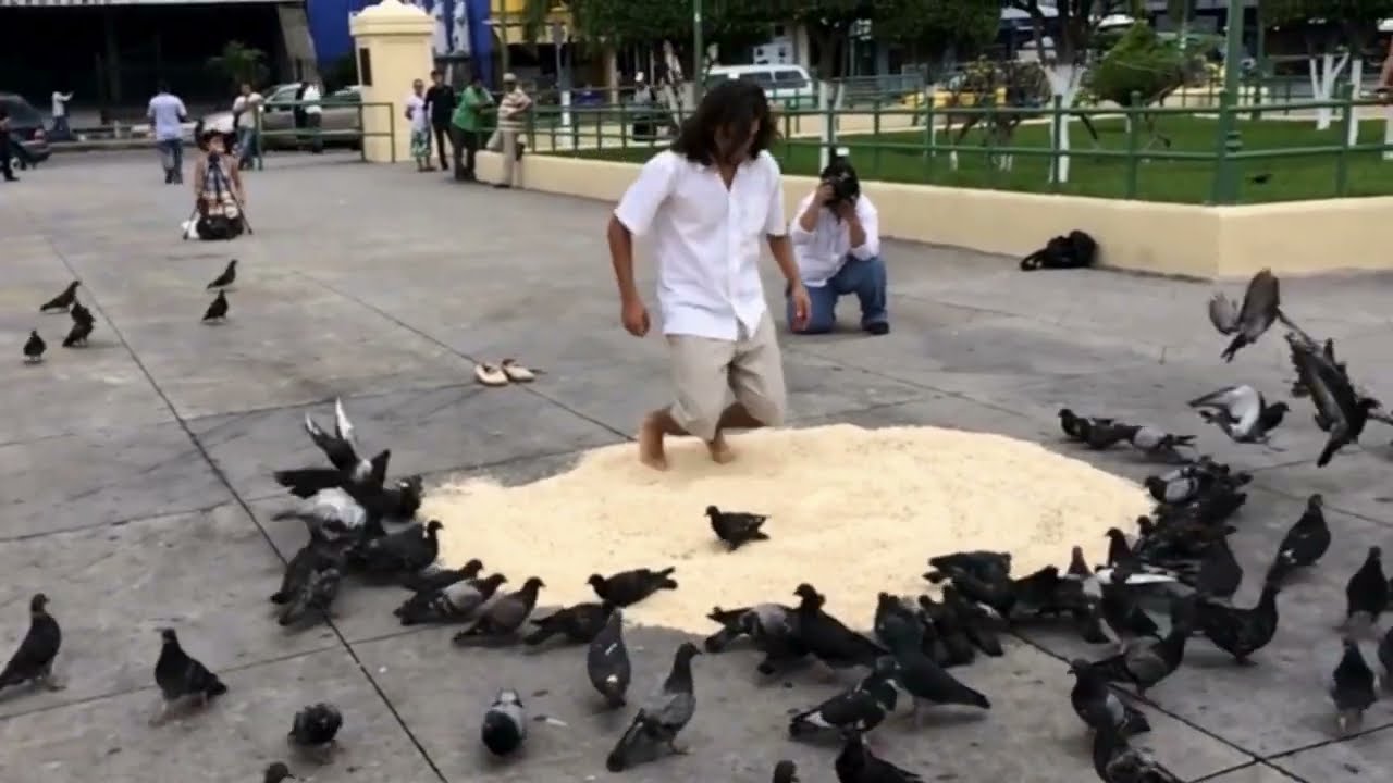 Where freedom is embedded: harvest penance and sow seed in pain/Incrusta libertad, cosecha dolor...