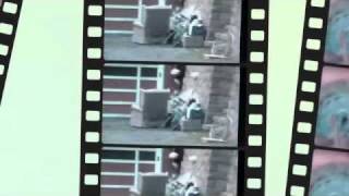 Inner Views: Better This World, Brad Crowder - 3/16/11 - short clip 3
