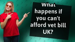 What happens if you can't afford vet bill UK?