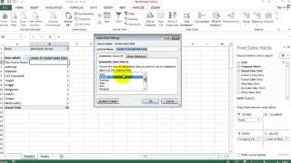 Excel 2013: Pivot Table Basic