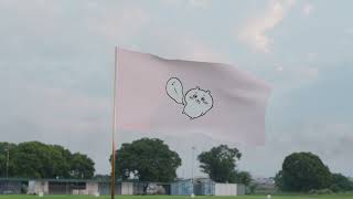 Waving flag | Cloth simulation