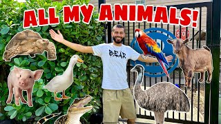 FULL Animal TOUR of the Ranch!!