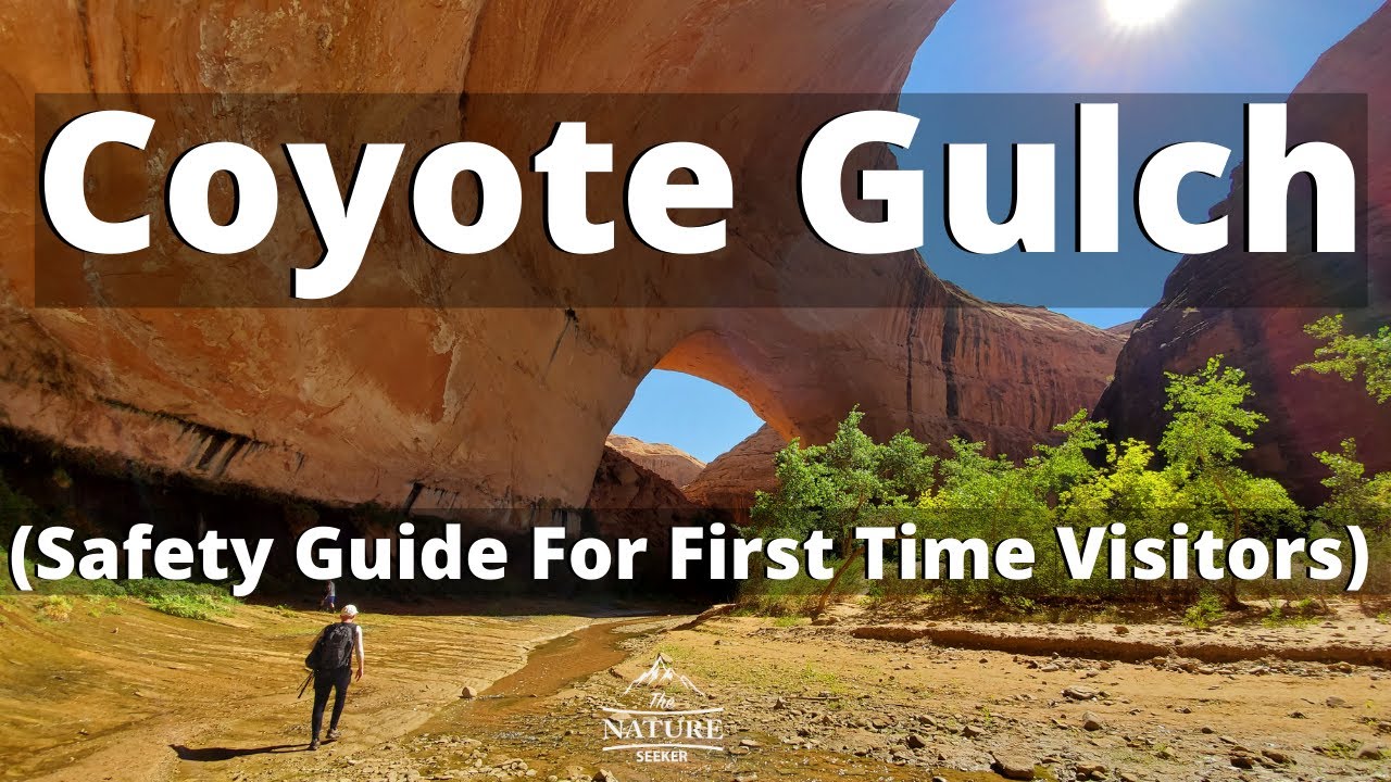 How to Hike Coyote Gulch For First Timers (Beginners, Don't Make These Mistakes!)