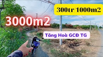 MS06 ( ĐÃ BÁN ) Bán 3000m2 đất ruộng mặt tiền kênh tại xã Tăng Hòa huyện Gò Công Đông TG giá rẻ