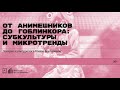 «От анимешников до гоблинкора: субкультуры и микротренды». Лекция культуролога Нины Ворониной