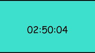 Timer 2 Hours 55 Minutes - 175 Minutes (Silent / Quiet)