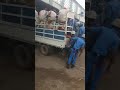 جانب من فظائع الجنجويد عند فض الإعتصام|part of the massacre tragedies committed by Janjaweed