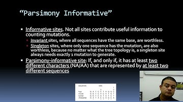 Cladistic Methods Maximum Parsimony