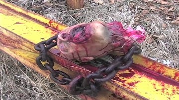 Severed Head Halloween Haunted House Prop