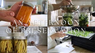 What Can We Get Done in 3 Hours? Canning & Dehydrating | Preserving the Harvest | Food Preservation