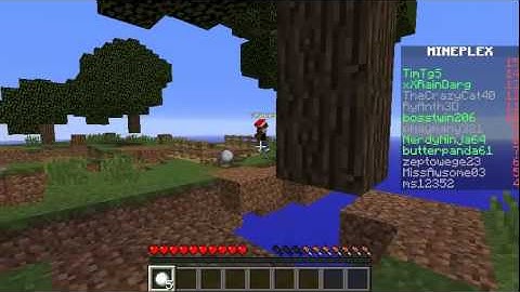 new intro- mineplex!!!