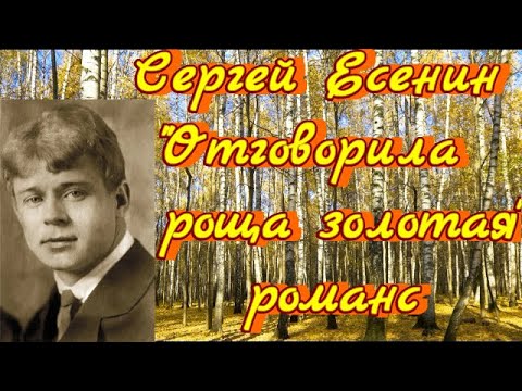 отговорила роща золотая березовым веселым языком. отговорила роща романс слушать. стихотворение есенина отговорила роща. отговорила роща романс слушать. отговорила роща золотая пономаренко.