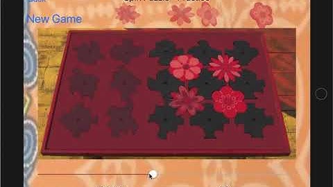 Flower Spin Puzzle from Survivor