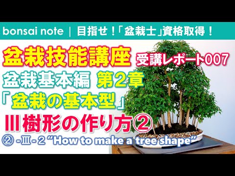 Bonsai Note L やってみた 初心者の盆栽剪定