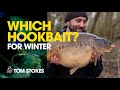 Which Hookbait? For Winter - Tom Stokes