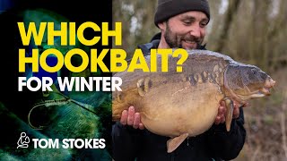 Which Hookbait? For Winter - Tom Stokes