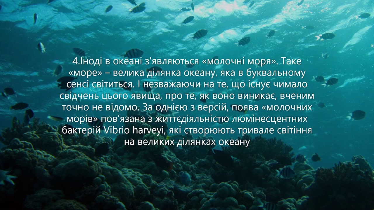 Загадка про океан. Факты об океане. Статьи про океан на белом фоне.