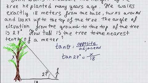 Clculating height of a tree using trig