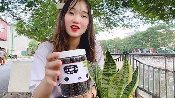 HÀ THỦ Ô CÓ NHỮNG TÁC DỤNG GÌ - THẢO DƯỢC BẢO KHÁNH