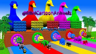 Paint animals Duck, Cow, Tiger, Lion, Gorilla, Elephant, Shark Transfiguration funny animal