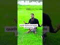 Eschcalaa Dhaanto Iyo Cali Dhaanto Ciyaalxamar Duet Somalia Dhaanto Eschcalaa Dhaanto Iyo Cali Dhaanto Ciyaalxamar Duet Somalia Dhaanto