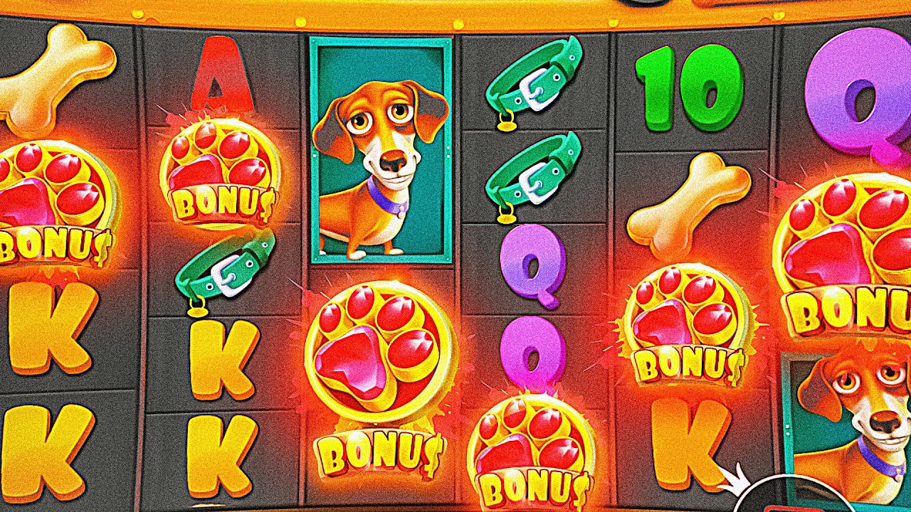 игровые автоматы будки. слот dog house megaways. дог хаус мегавейс на деньги. Dog house megaways. Dog house слот.