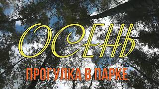 Осенняя поэзия