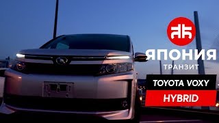 Тест драйв Toyota Voxy | Минивэн для всей семьи