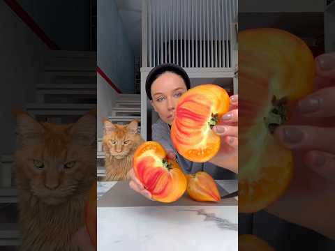 как вам новое прочтение рецепта? #асмр #рецепты #готовимдома #еда #готовка #food #cooking