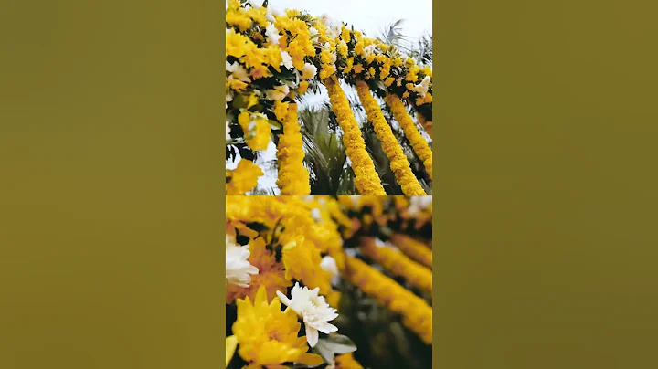 The whole haldi ceremony in a sneak peek