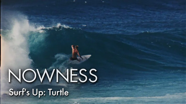 Surf's Up: Turtle