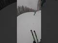 Skying in the Snowstorm. Italy