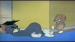 Tom And Jerry Professor Tom 720Phd