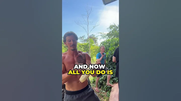 Natural sponges from the earth!! A #loofah plant #animalbased