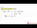 पीयूष ग्रन्थि कहाँ स्थित होती है? | 11 | रासायनिक समन्वय तथा एकीकरण | BIOLOGY | SANJEEV PUBLICAT...