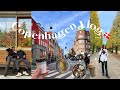 Copenhagen vlog denmark  louisiana museum yayoi kusama exhibition national danish food part 2