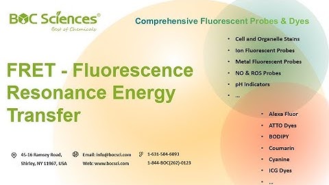 FRET: Fluorescence Resonance Energy Transfer Explained - BOC Sciences