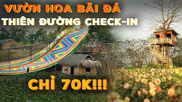 Vườn Hoa Bãi Đá Sông Hồng - Thiên Đường Check-in Giữa Lòng Hà Nội | Khám Phá Tây Hồ