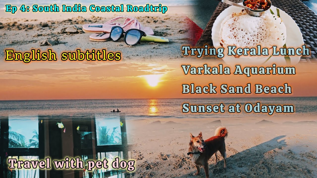 Ep 4| Varkala | Black Sand Beach + Aquarium + Chimney Hotel Fish Thali | Odia Vlog with English subs