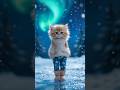 cat is dancing#viral #cat #funny #cute#aianimals #kitten #aicatlovers#cutecat #catlovers #shortvideo
