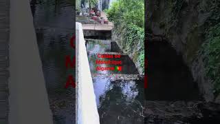 Caldas de Monchique Algarve 🇵🇹